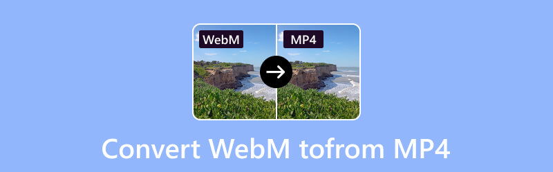 WebM in MP4 umwandeln