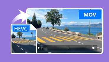 HEVC in MOV umwandeln