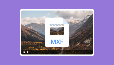 MXF-Player