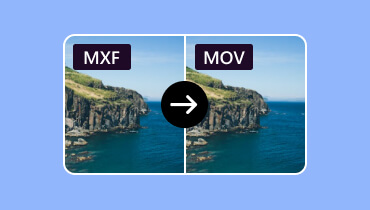 MXF in MOV umwandeln