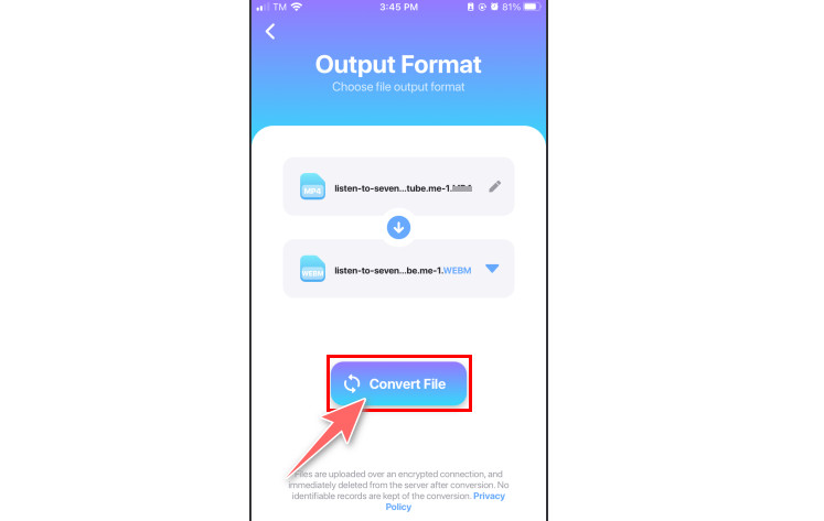 Video Converter Auf „Datei konvertieren“ klicken