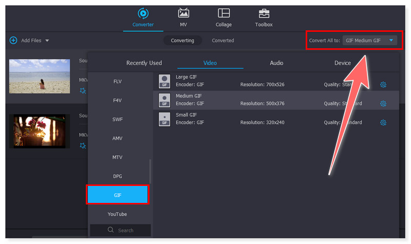 Vidmore GIF-Ausgabeformat auswählen