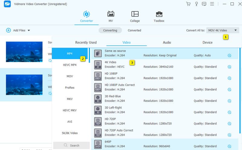 WebM-Konverter Vidmore Einstellen