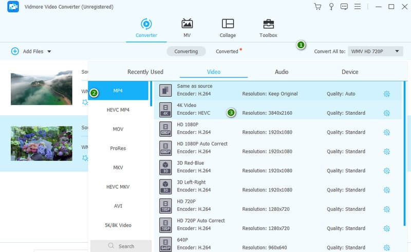 WMV in MP4 konvertieren Vidmore Ausgabe einstellen
