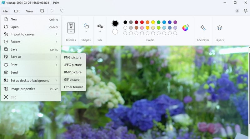 AVI GIF VLC Bild speichern