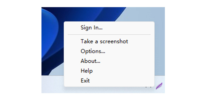 Lightshot-Oberfläche