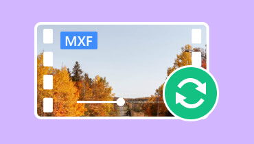 MXF‑Konverter