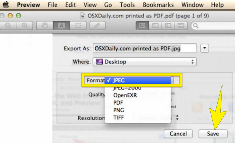 Konvertierung Vorschau Konvertierung