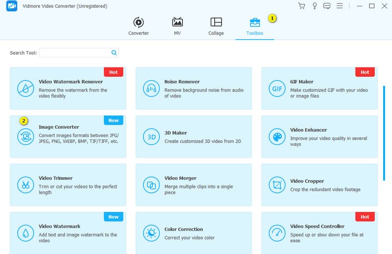 Konvertierung Vidmore Tool