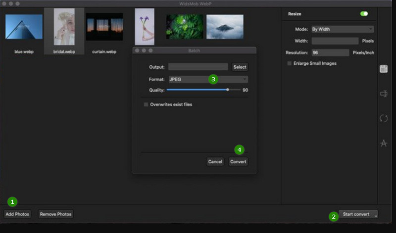 WidsMob WebP in JPG konvertieren