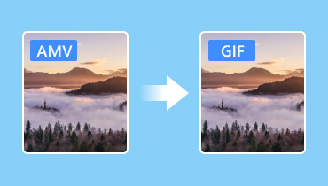 AMV zu GIF