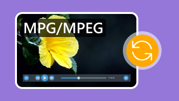 MPG/MPEG Converter