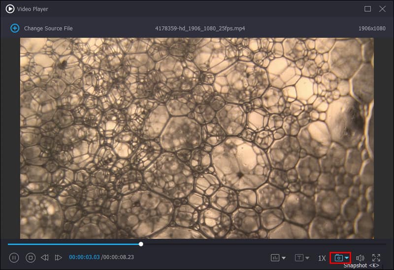 Schaltfläche Snapshot