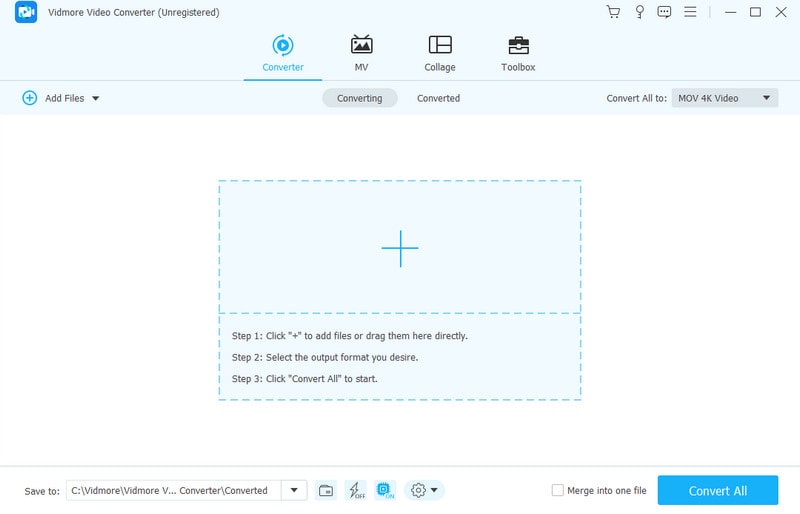 Vidmore Konvertieren AMV Import