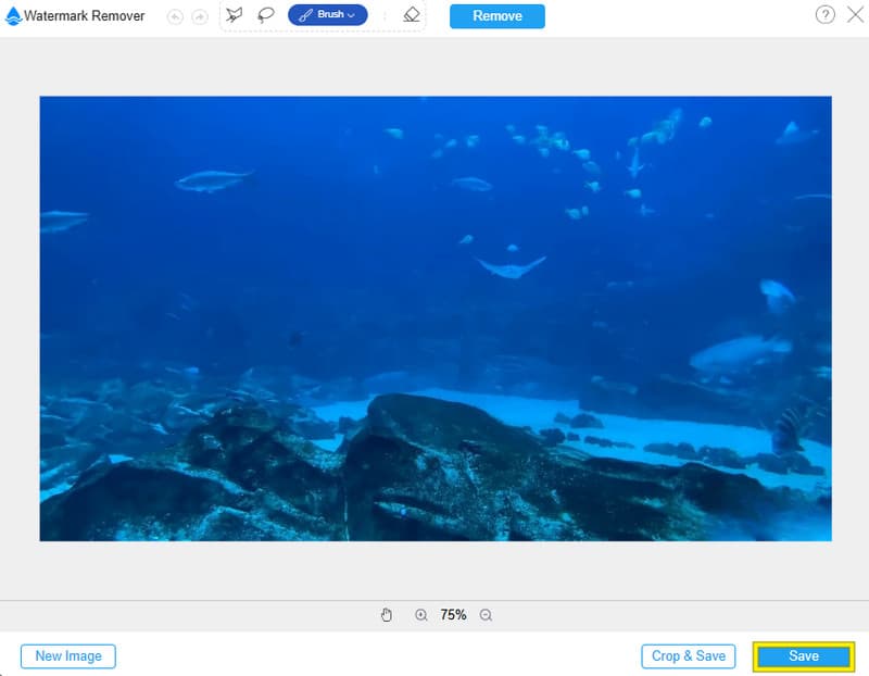 NSFW-Wasserzeichenentferner Speichern