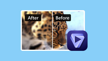 Topaz Photo AI Testbericht