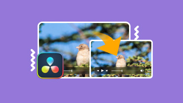 Video in DaVinci Resolve stabilisieren
