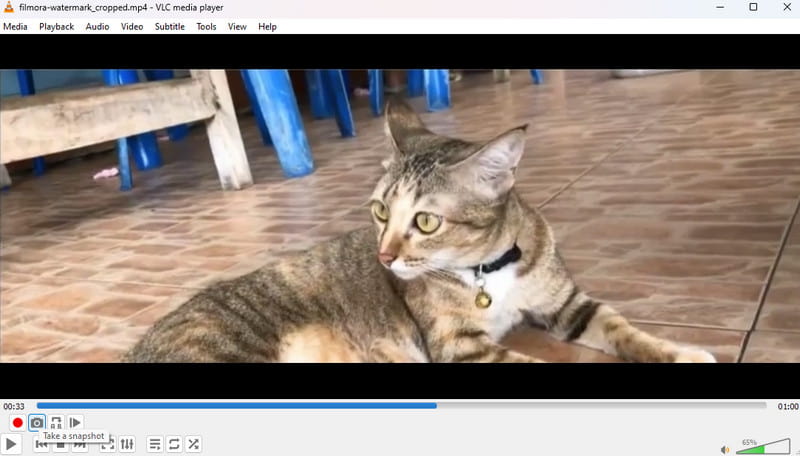 VLC MP4-PNG-Konverter