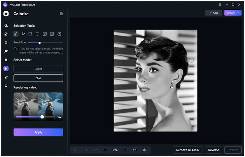 Kolorierungsmodell anwenden