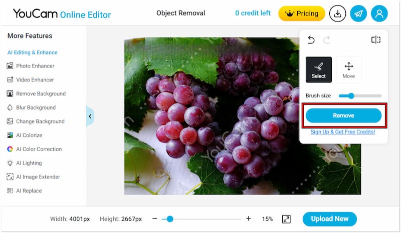 Wasserzeichenentfernung beginnen