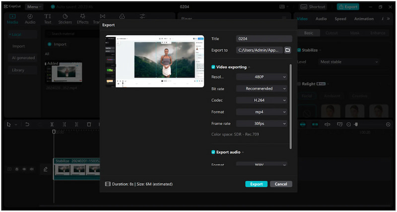 Stabilisiertes Video exportieren
