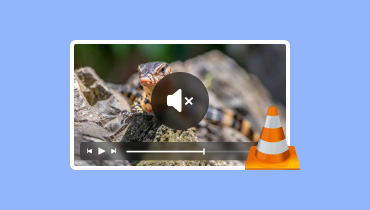 VLC Media Player – Kein Ton