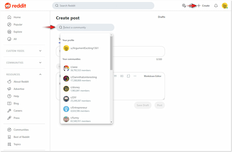 Community oder Subreddit auswählen