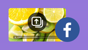 Video auf Facebook hochladen