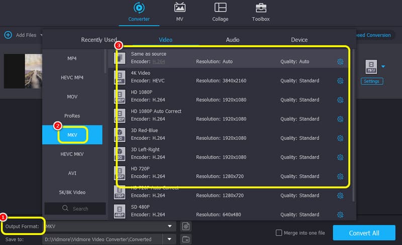 MKV auswählen Vidmore