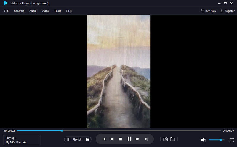Vidmore Player MKV‑Player für Windows