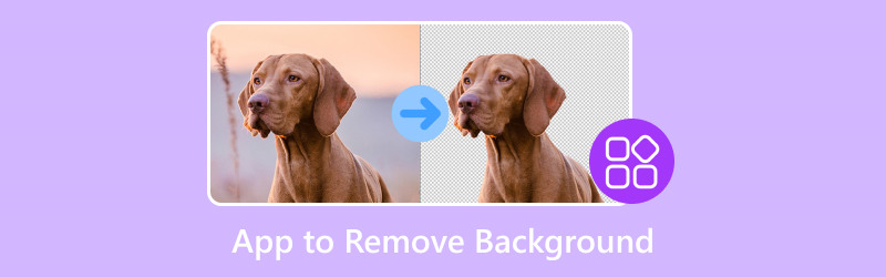 App zum Entfernen von Hintergründen