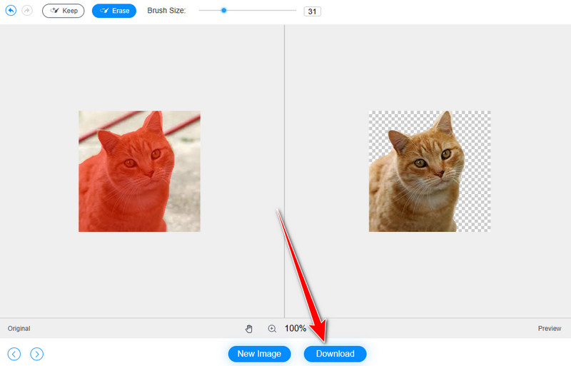 Bild herunterladen Vidmore