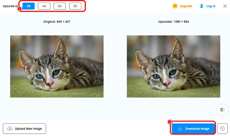 Bild vergrößern – Vidmore Upscaler