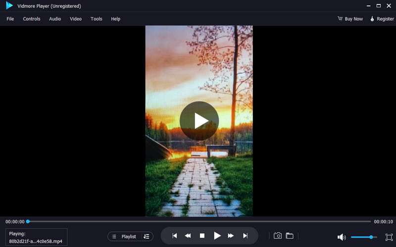 Vidmore Player – bester Player für Windows
