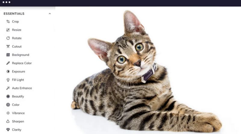 Befunky Canva-Alternative