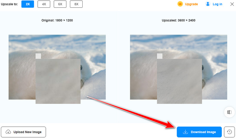 Lade das Bild mit Vidmore herunter