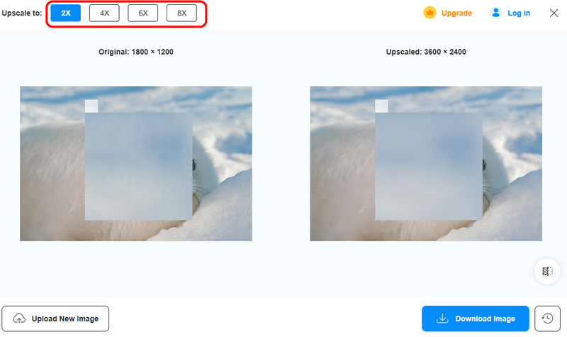 Bild verbessern Vidmore