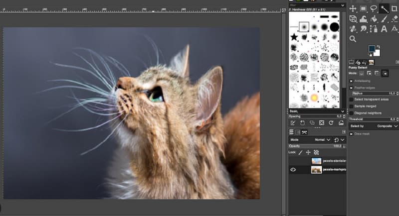 Gimp Photoshop-Alternative