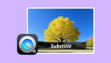 Wie man Untertitel in QuickTime Player einfügt
