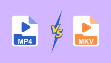 MP4 vs. MKV S