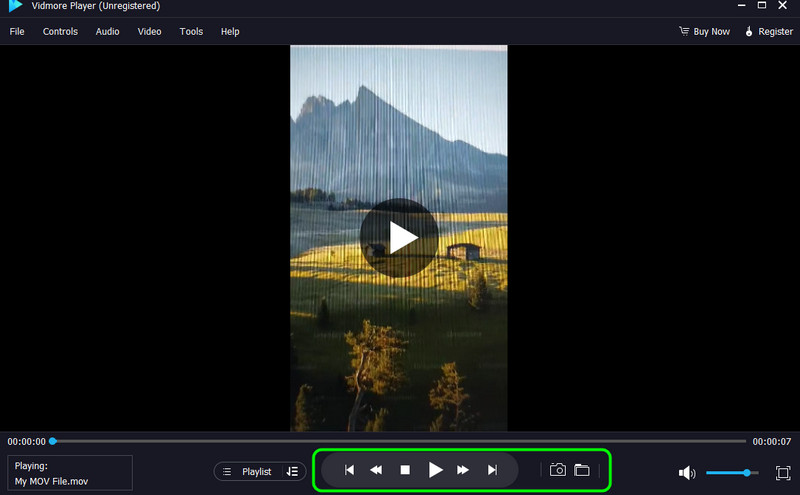 Medieninhalte mit Vidmore wiedergeben