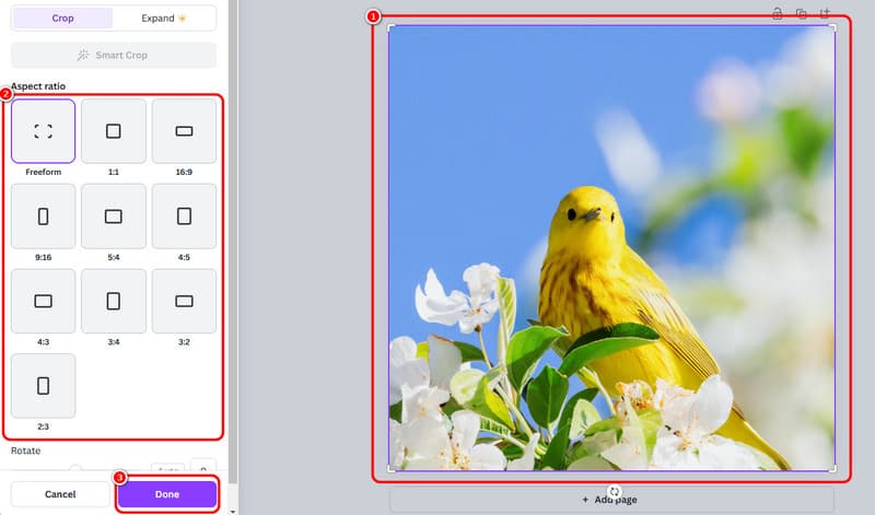 Foto in Canva zuschneiden
