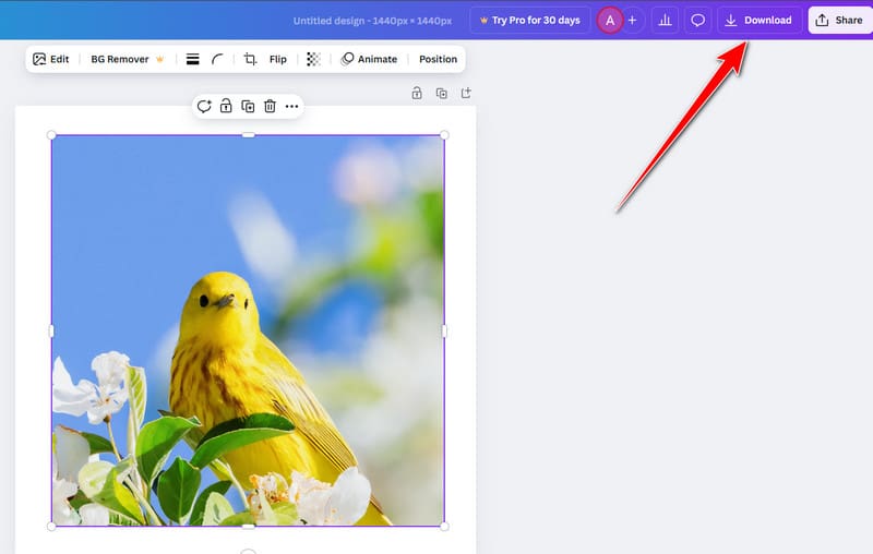 Download-Schaltfläche in Canva