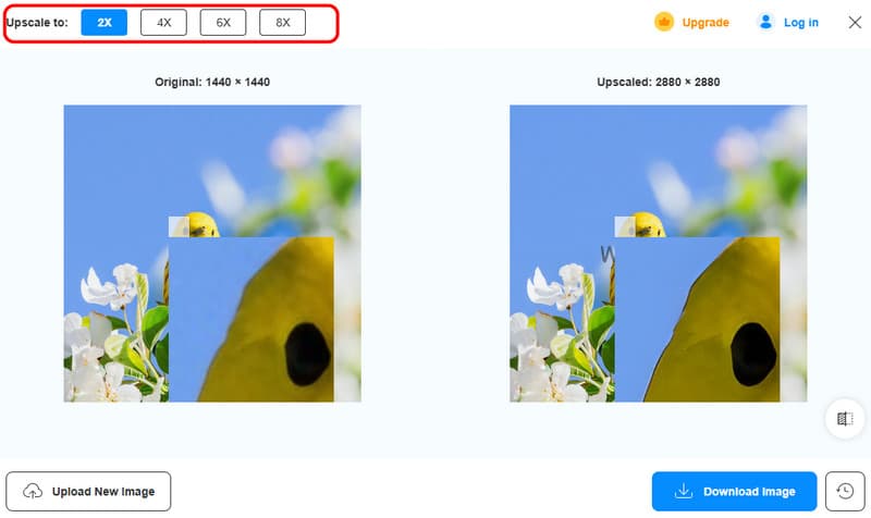 Bild mit Vidmore hochskalieren