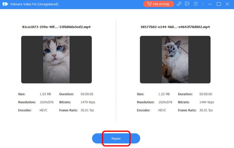 Auf Reparieren‑Schaltfläche in Vidmore klicken