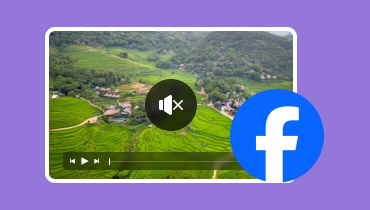 Facebook-Video ohne Ton