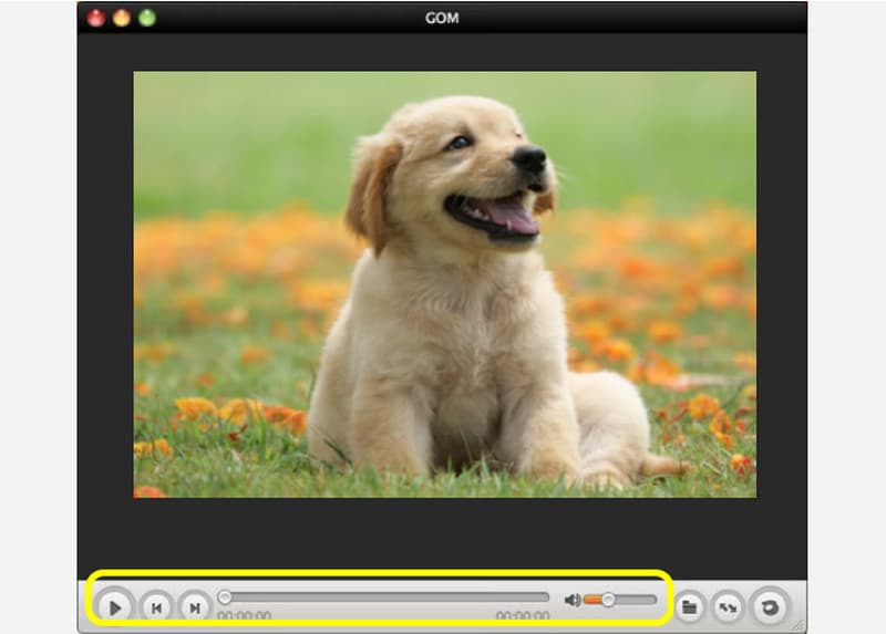 WMV mit GOM Player abspielen