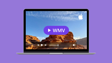 WMV auf dem Mac abspielen