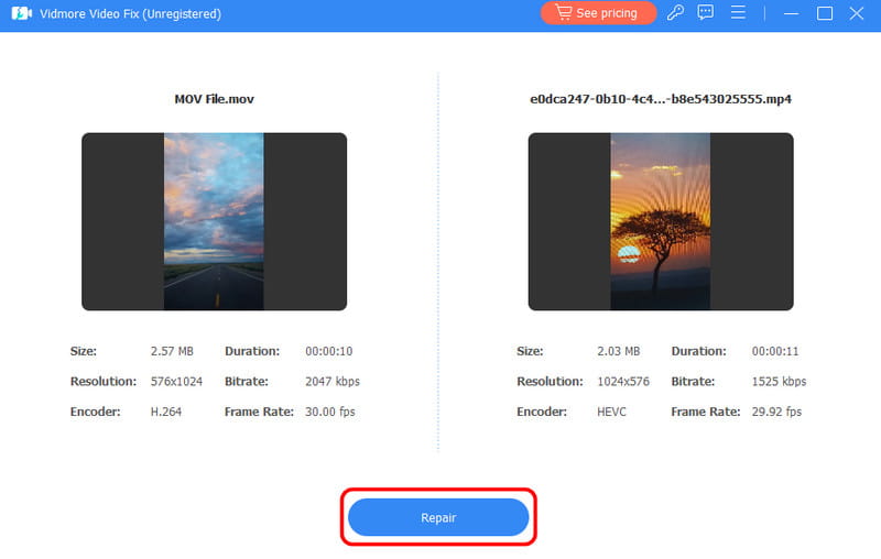 Ruckelndes Video mit Vidmore reparieren