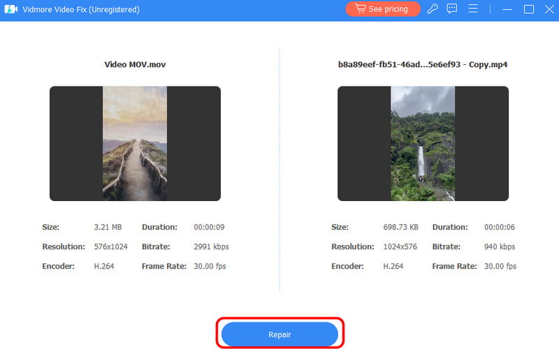 Video mit Vidmore reparieren